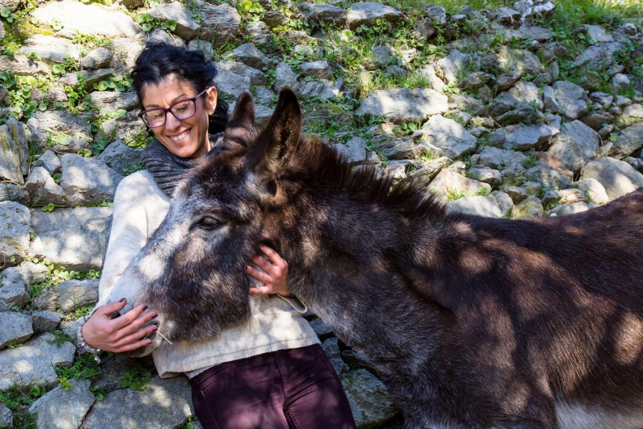 Agriturismo A Ca Vegia Calice Ligure Экстерьер фото