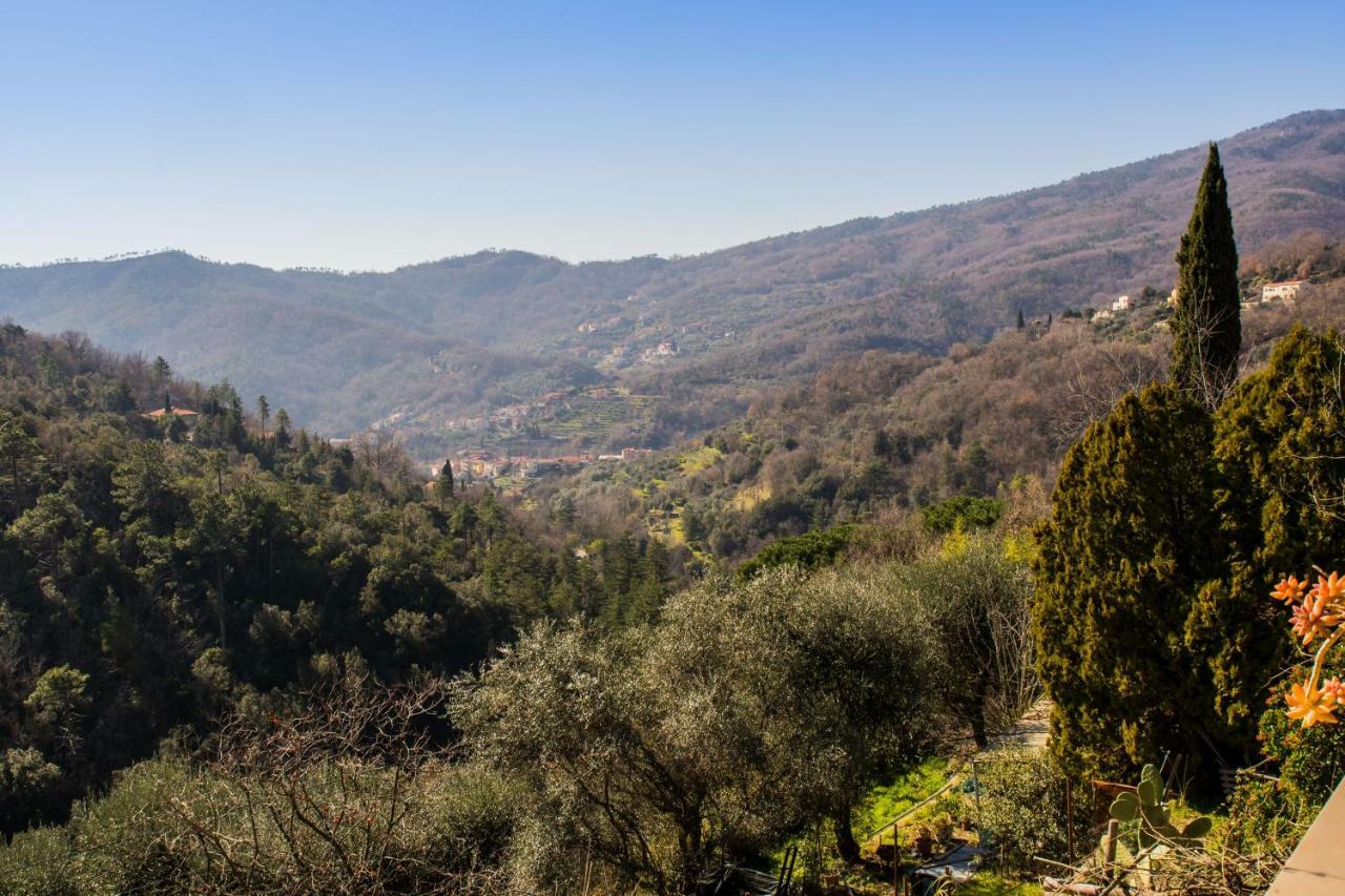 Agriturismo A Ca Vegia Calice Ligure Экстерьер фото